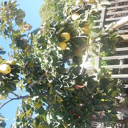 Hotel de apartamente Guesthouse Parthenon