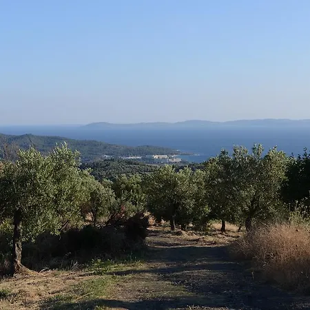 Guesthouse Parthenon Parthenón
