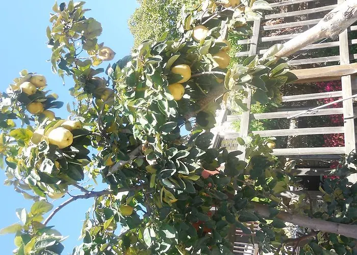 Apartahotel Guesthouse Parthenon