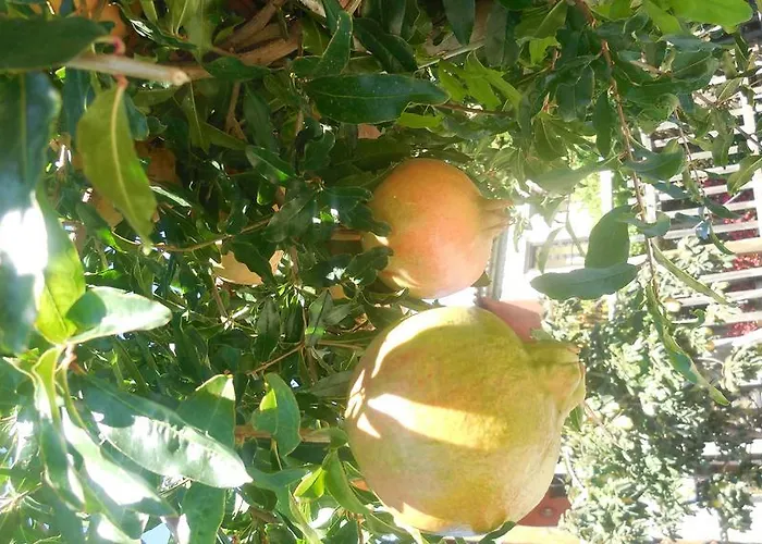 Guesthouse Parthenon Parthenón