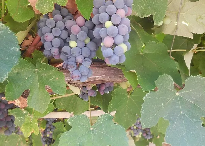 Guesthouse Parthenon Apartahotel Parthenón