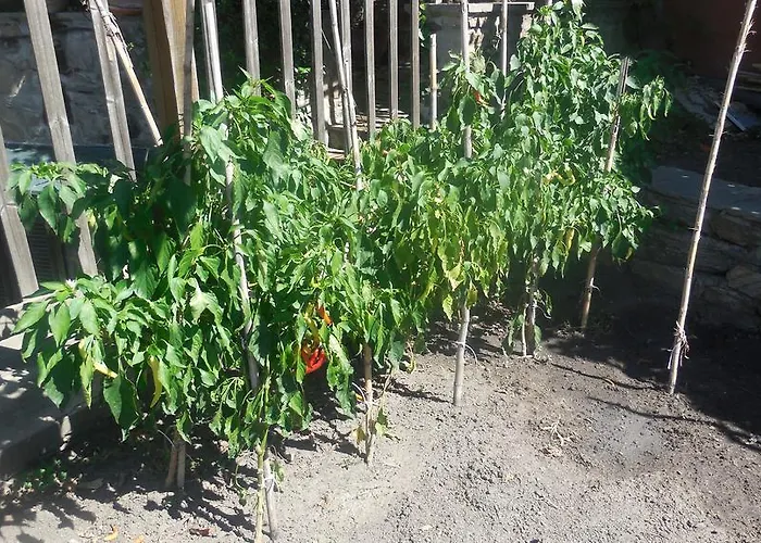 Guesthouse Parthenon