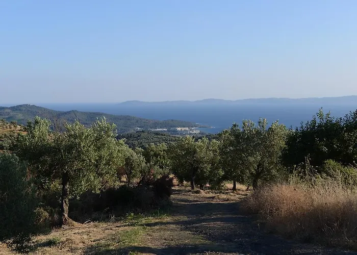 Guesthouse Parthenon Parthenón