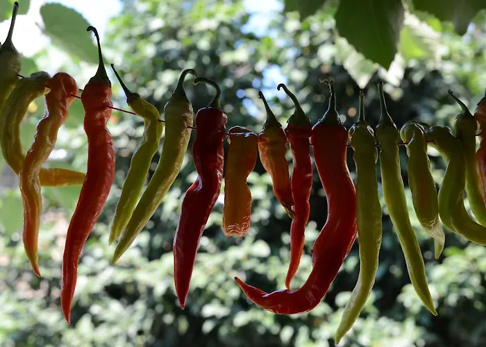 Apart Otel Guesthouse Parthenon Parthenón