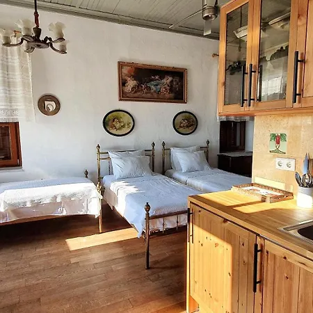 Hotel de apartamente Guesthouse Parthenon *