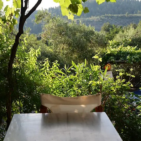 Guesthouse Parthenon