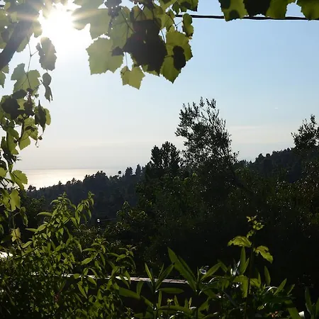 Guesthouse Parthenon Parthenón